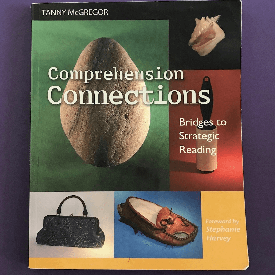 a picture of the book comprehension connections: bridges to strategic reading